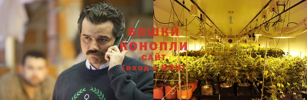 гашик Остров