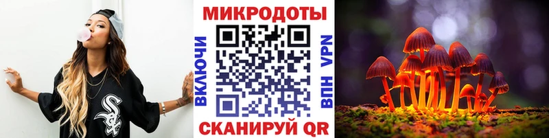 Псилоцибиновые грибы Psilocybe  Плёс 